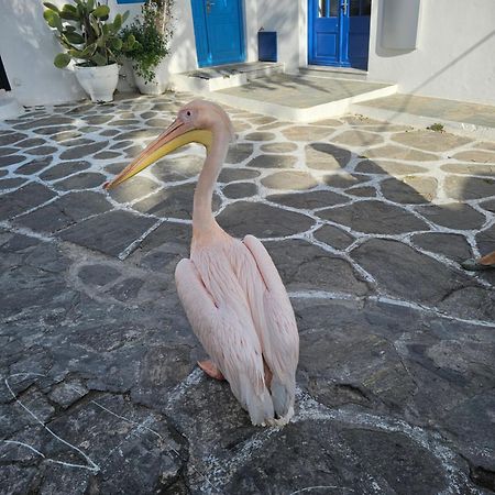 Mykonos Town Lalaland 아파트 외부 사진